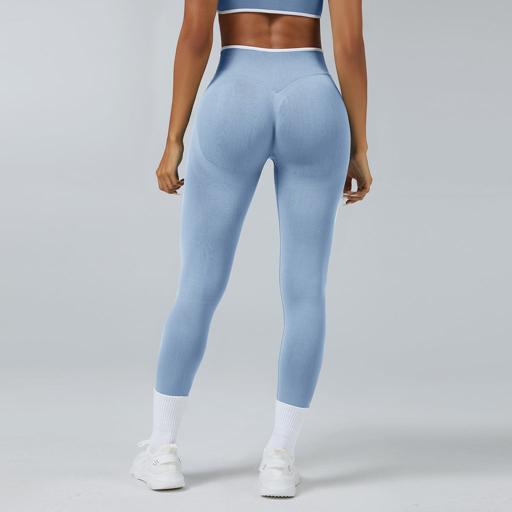 Seamless Sculpt High-Waist Leggings